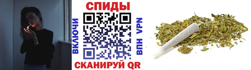 Бутират буратино  Нарьян-Мар 
