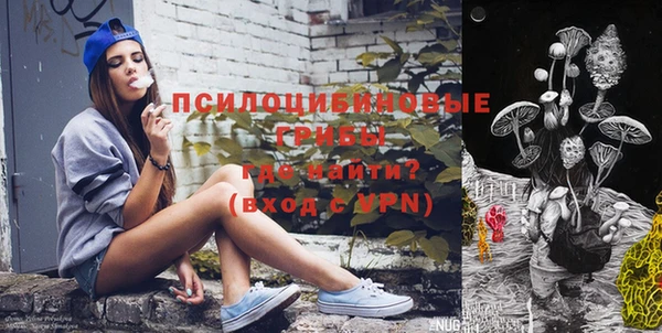 дурь Алзамай