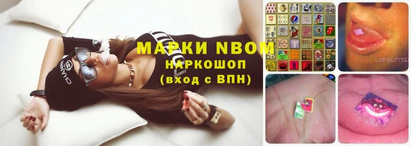 молекула духа Алексин