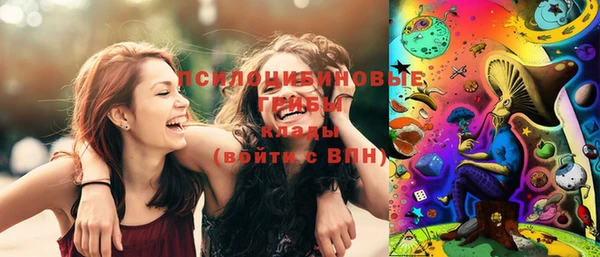 дурь Алзамай