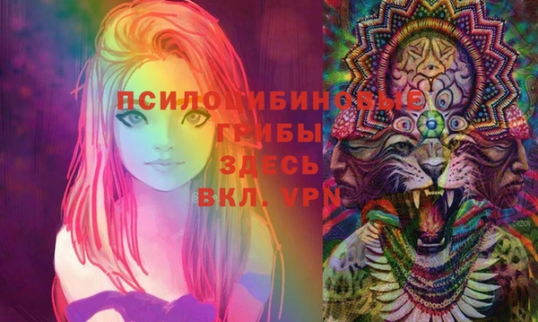стафф Алексеевка