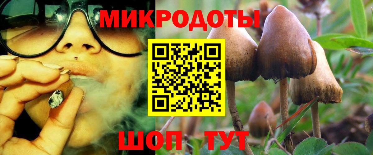 Нарьян-Мар  Галлюциногенные грибы Magic Shrooms  Вход с VPN 
